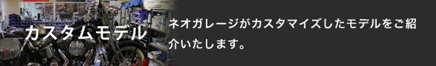 カスタムモデル